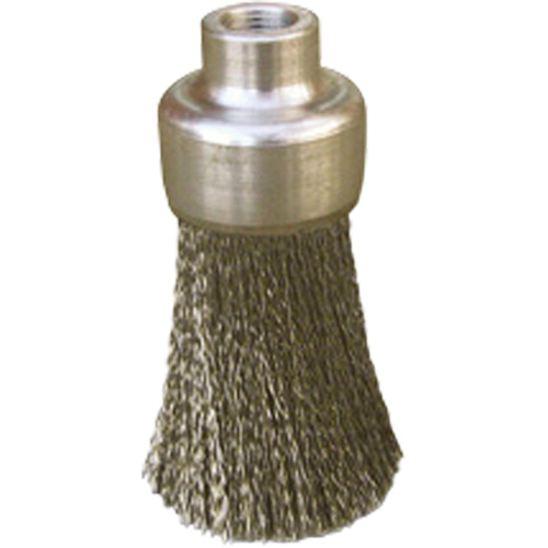 Brosses plates, rondes ou Roto Par Equipment