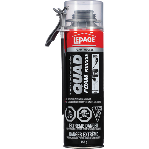 Quad&reg; Foam Window & Door Installation Foam, Aerosol Can, Tan Par Equipment