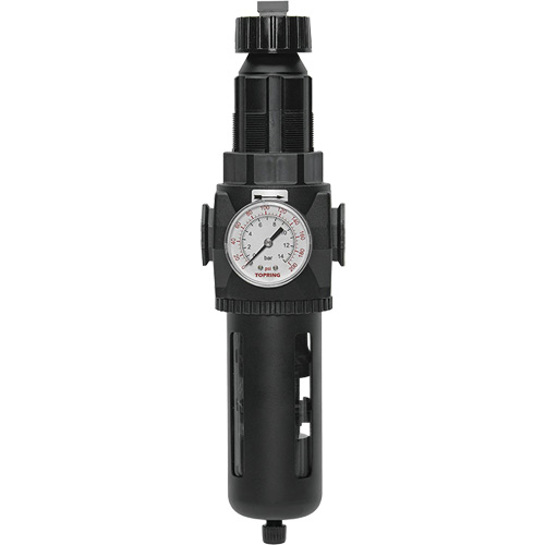 Filtre/r&eacute;gulateur Modulair 400 avec vidange manuelle, 3/4" NPT, 200 psi, Capacit&eacute; de 9,1 oz liq. Par Equipment