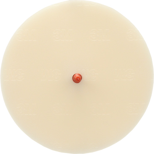 Disque Scotch-Brite 7502 pour retrait de colle et de bandes de moulage, 6" dia. Par Equipment