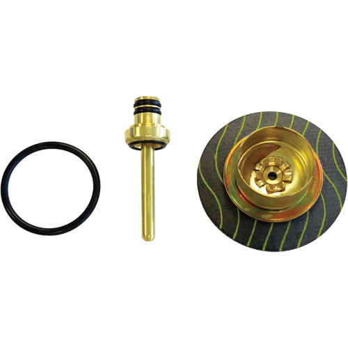 Filter/Regulator - Relieving Diaphragm & Valve Assembly Par Equipment