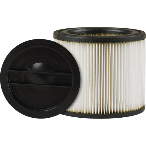 Small Vacuum Filter, Cartridge, Fits 1 - 6 US gal. Par Equipment