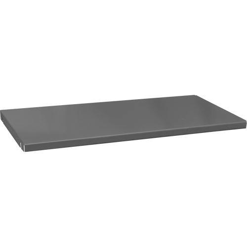 Replacement Cabinet Shelves, 47-1/2" x 16-3/8", 700 lbs. Capacity, Steel, Grey Par Equipment
