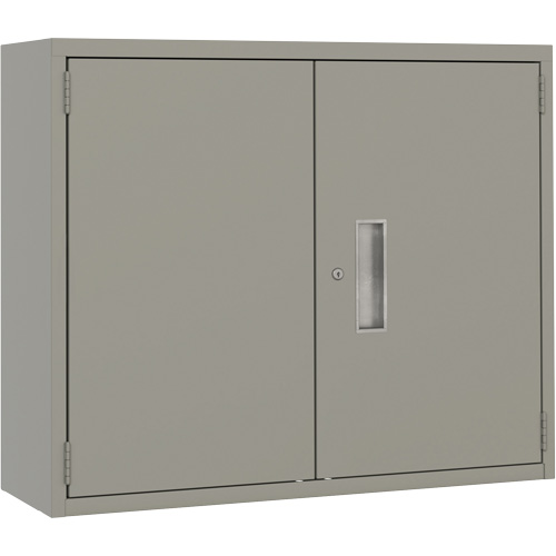 Wall Mounted Cabinet, Steel, 2 Shelves, 30" H x 36" W x 12" D, Grey Par Equipment