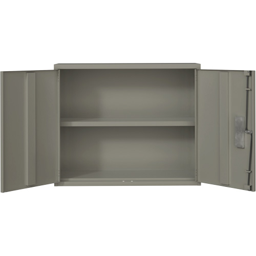 Wall Mounted Cabinet, Steel, 2 Shelves, 30" H x 36" W x 12" D, Grey Par Equipment