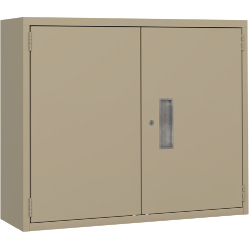 Armoire murale, Acier, 2 Tablettes, 30" h x 36" la x 12" P, Beige Par Equipment