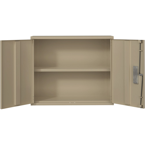 Armoire murale, Acier, 2 Tablettes, 30" h x 36" la x 12" P, Beige Par Equipment
