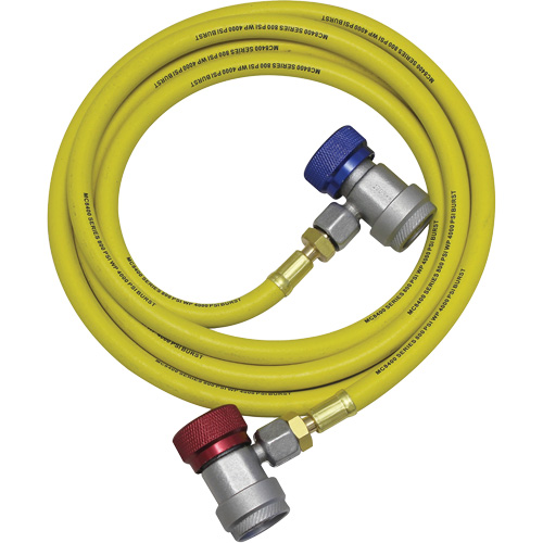 R134a A/C System Flush Hose Assembly Par Equipment