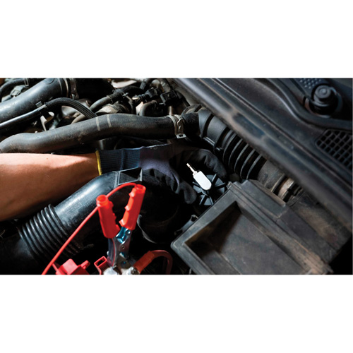 Tall Frame Brake-Pro Pressure Brake Bleeder with Adapters Par Equipment