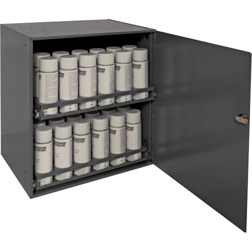 Aerosol Storage Cabinet, Steel, 21-7/8" H x 15-15/16" W x 20-5/16" D, Grey Par Equipment