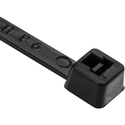 Attaches de c&acirc;ble PA66, Longueur 8", R&eacute;sistance &agrave; la traction 50 lb, Noir Par Equipment