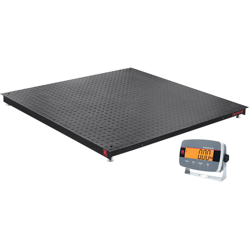 DEFENDER 3000 Floor Scale, 2500 lbs. Capacity, 36" W x 36" L Par Equipment