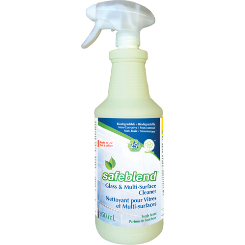 Nettoyant sans parfum pour verre & surfaces, 950 ml, Bouteille &agrave; g&acirc;chette Par Equipment