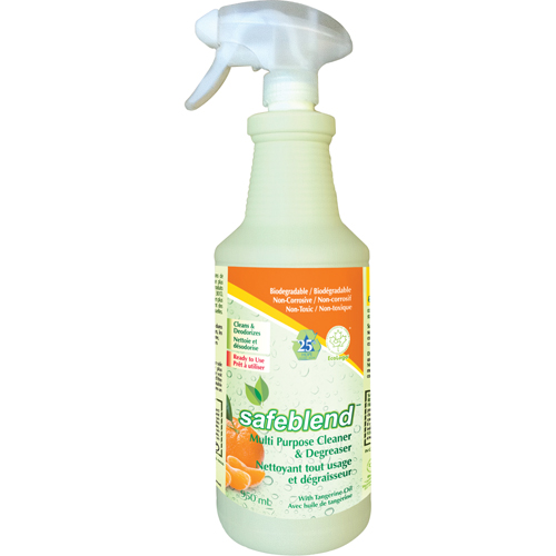 Multi-Purpose Cleaner, 950 ml, Trigger Bottle Par Equipment