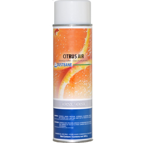 Air Deodorizer, Citrus, Aerosol Can Par Equipment