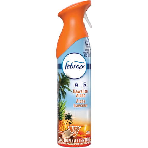 Air Freshener, Hawaiian Aloha, Aerosol Can Par Equipment