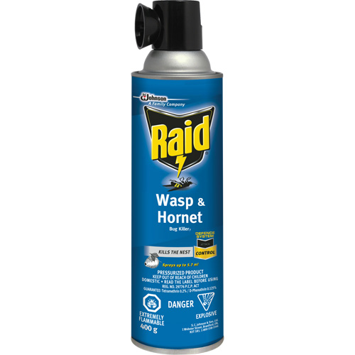 Raid&reg; Wasp & Hornet Bug Killer, 400 g, Solvent Base Par Equipment