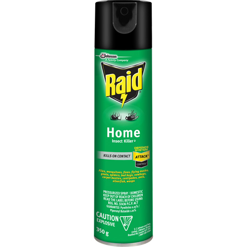 Insecticide pour insectes domestiques Raid, 350 g, &agrave; base de solvant Par Equipment