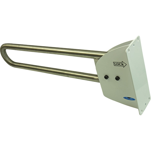 Swing-Up Safety Rail Par Equipment