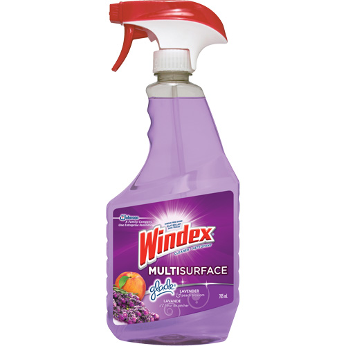 Nettoyant multi-surfaces de Windex, 765 ml, Bouteille &agrave; g&acirc;chette Par Equipment