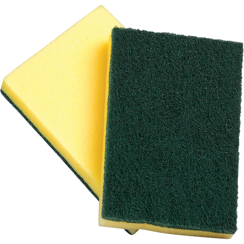 Sponges with Scouring Pad, Scrubbing, 4" W x 6" L Par Equipment