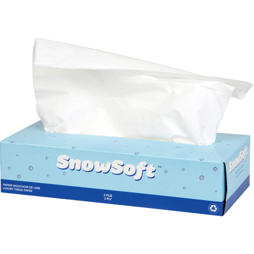 Papier-mouchoir de premi&egrave;re qualit&eacute; Snow Soft, 2 pli, 7,4" lo x 8,4" la, 100 feuilles/boîte Par Equipment