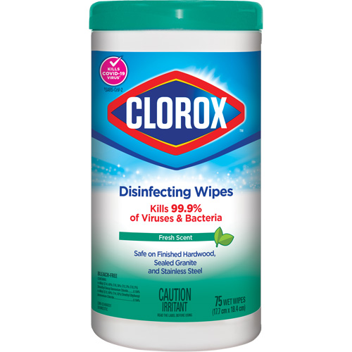Disinfecting Wipes, 75 Count Par Equipment