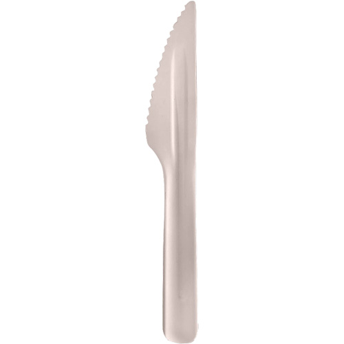 Bagasse Compostable Knives Par Equipment