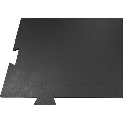 Voyager Residential Home Fitness Flooring Par Equipment