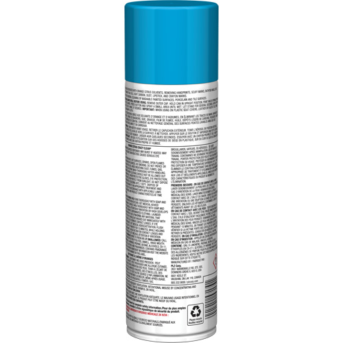 Nettoyant tout usage Pro Line Crazy Clean, 19 oz., Canette a&eacute;rosol Par Equipment