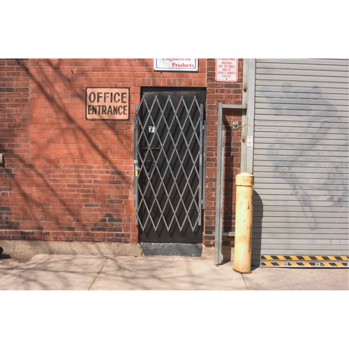 Heavy-Duty Door Gates, Single, 4' L x 6' 6" H Expanded Par Equipment