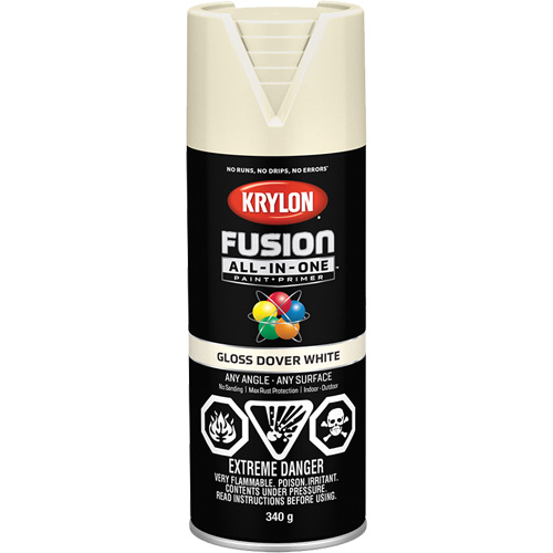 Peinture &agrave; pulv&eacute;riser tout en un Fusion, Blanc Dover, Brillant, 12 oz, Canette a&eacute;rosol Par Equipment