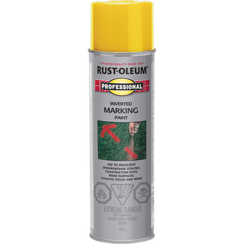 Peinture de marquage renvers&eacute; en a&eacute;rosol, 426 g, Canette a&eacute;rosol Par Equipment