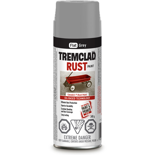 Peinture antirouille &agrave; base dhuile Tremclad, Gris, Tr&egrave;s mat, Canette a&eacute;rosol Par Equipment