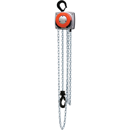 Hurricane 360° Chain Hoist, 10' Lift, 1000 lbs. (0.5 tons) Capacity, Steel Chain Par Equipment