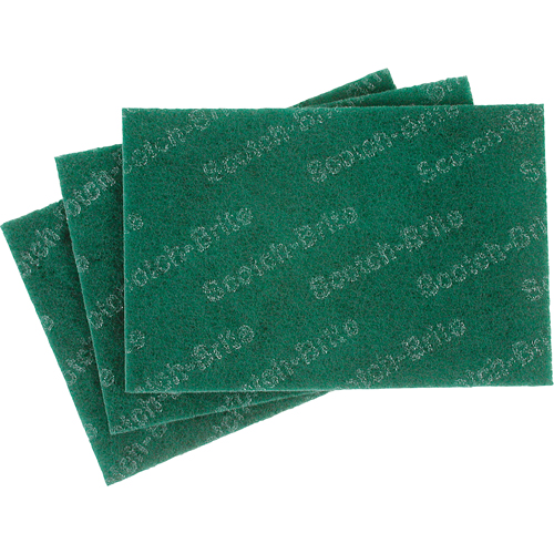 Tampons manuels Scotch-Brite, 9" lo x 6" la Par Equipment