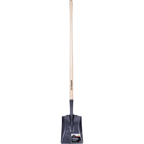 Pro Square Point Shovel, Wood, Tempered Steel Blade, Straight Handle, 48" Long Par Equipment