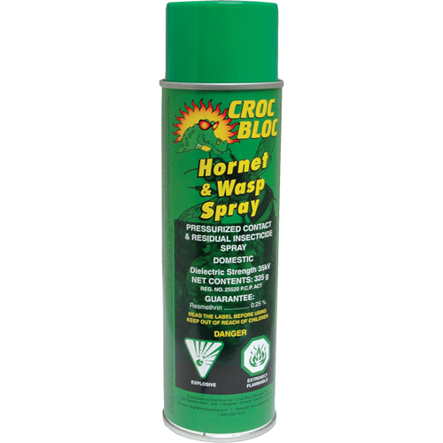 Hornet & Wasp Killer, 325 g, Aerosol Can Par Equipment
