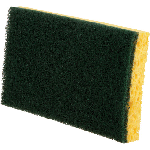 Utility Sponges, Cellulose, 6" W x 3-1/2" L Par Equipment