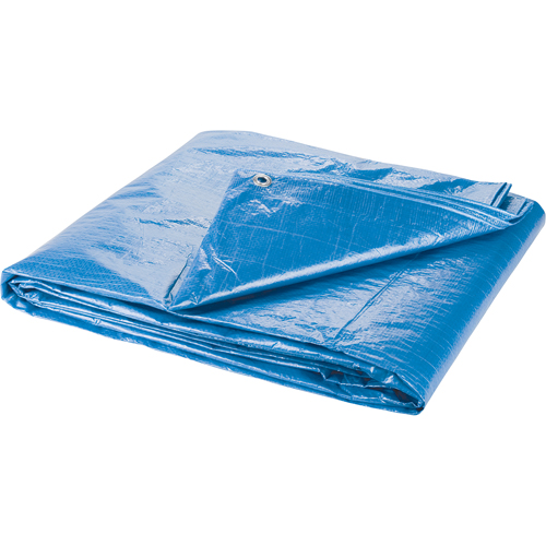 Tarp, Standard Duty, Blue, 7' x 5' x 4 mils Par Equipment
