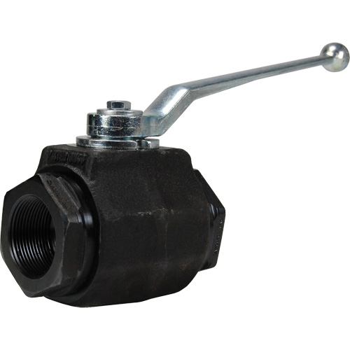 High Pressure Full-Bore Ball Valve, Steel, Manual, FNPT x FNPT Par Equipment