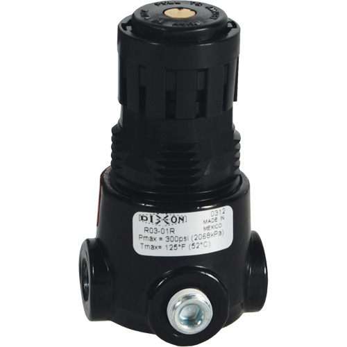Wilkerson Miniature Regulator R03, 1/4" NPT, 300 psi Max. PSI, Standard Par Equipment