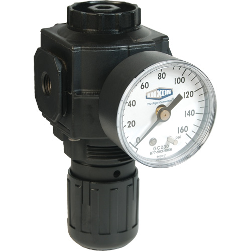 Series 1 Compact Regulator, 1/2" NPT, 150 PSI Max. PSI, Standard Par Equipment