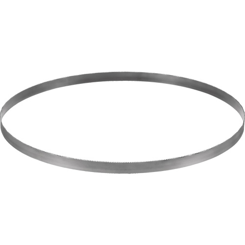 Cordless Band Saw Blade, Bi-Metal, 32-7/8" L x 0.02" Thick, 14-18 TPI Par Equipment