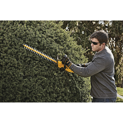 Taille-haie MAX*, 22", 20 V, &agrave; pile Par Equipment