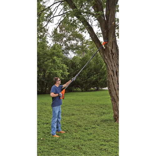 Max* Cordless Pole Pruning Saw Kit Par Equipment