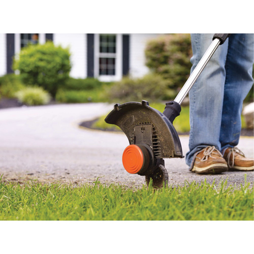 Ensemble de coupe-bordure/taille-bordure sans fil &agrave; 2 vitesses Max*, 12", &agrave; pile, 20 V Par Equipment