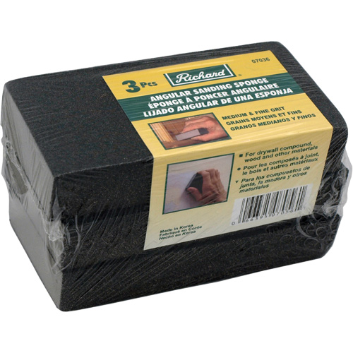 Angled Sanding Sponge Par Equipment
