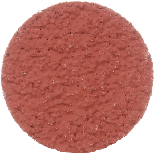 Disque &agrave; d&eacute;ligner durable II Roloc Cubitron, 2" dia., Grain 36+, C&eacute;ramique Par Equipment