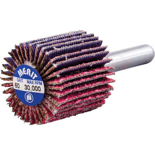 Mini-meule &agrave; lamelles mont&eacute;e sur tige, C&eacute;ramique d'alumine, Grain 60, 1" x 1" x 1/4" Par Equipment